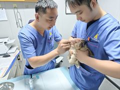 -半岛宠物医院24小时(科华中路店)
