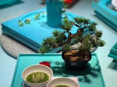 -松云泽