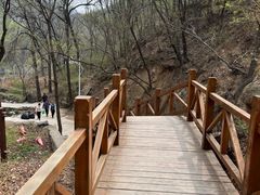 -大岭沟猕猴桃谷风景区