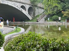 -清凉山国家森林公园