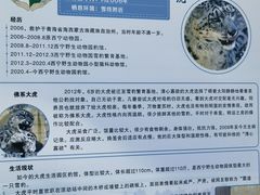 -青藏高原野生动物园