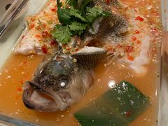-佬肥猫(国华广场店)