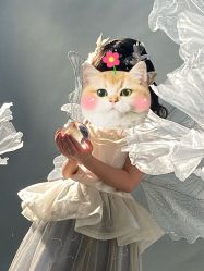 -雅尼·亚米儿童摄影美学馆(汉阳店)