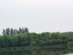 -大兴滨河森林公园