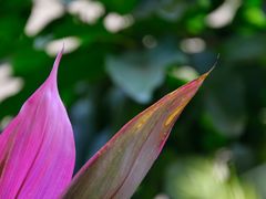 DSC_3405-广州锦绣香江度假别墅