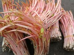 -浙江大学医学院附属第二医院(解放路院区)