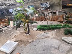 -中国第四纪冰川遗迹陈列馆