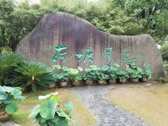 -荷塘月色湿地公园·向阳花洲
