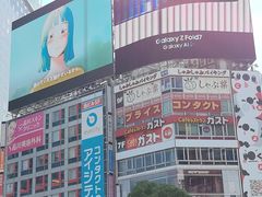 -涩谷区