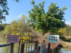 -天适樱花悠乐园