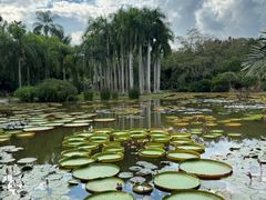 -中国科学院西双版纳热带植物园