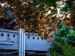 -颐和路民国时期公馆风貌区
