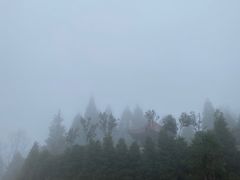 -井冈山风景名胜区
