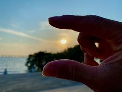 -宝安西湾红树林湿地公园