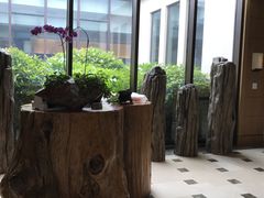 -上海崇明金茂凯悦酒店