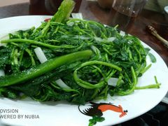 杂菜-华仔土鸡店(创意产业园店)