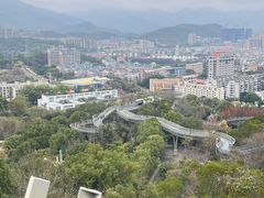 -福道
