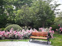 -大关公园