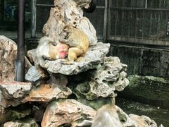 -水绘园
