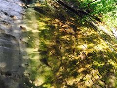 iphone_upload_pic-佛图关公园