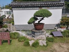 -水绘园