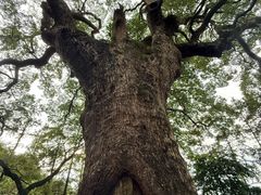 -安溪清水岩