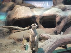 -苏州海洋馆