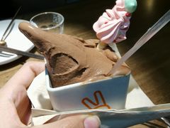 -野人先生现做冰淇淋(北京环宇荟店)