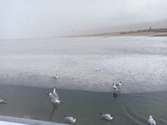 -青海湖国家重点风景名胜区