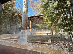 -春晖园度假酒店温泉