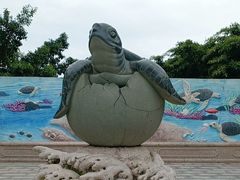 -广东惠东海龟国家级自然保护区