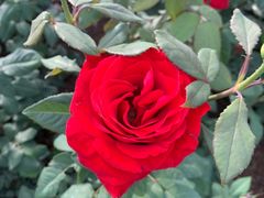 -上海科技馆(地铁站)