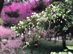 -陕西师范大学(雁塔校区)