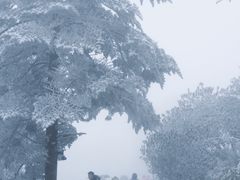 -瓦屋山景区