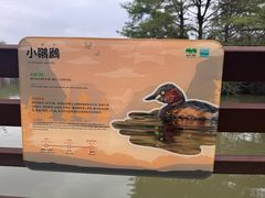 -海珠湖公园