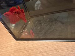 -御海8号温泉酒店