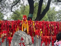 -大槐树寻根祭祖园