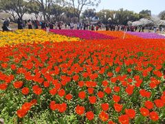-苏州上方山国家森林公园