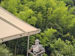 -将军关探险漂流