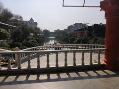 -百万葵园