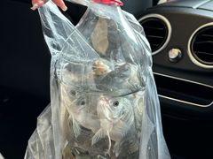 -牙山果园·烧烤野炊·钓鱼团建·烤全羊