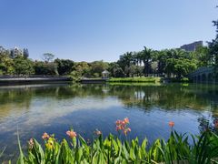 -四海公园(南山区)