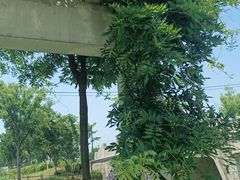 -嘉北郊野公园