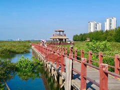 -北海金海湾红树林生态旅游区
