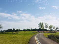 -白鹭湾湿地公园