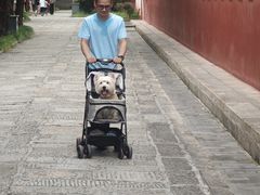 -南岳衡山风景名胜区-南岳大庙