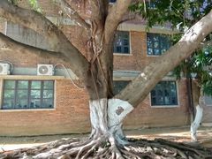 -柳州工业博物馆