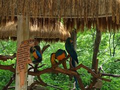 -常州淹城野生动物世界