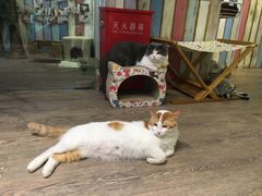 -小时光咖啡馆(开森度假森林店)