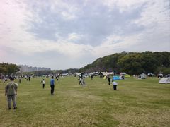 -昆山城市生态森林公园